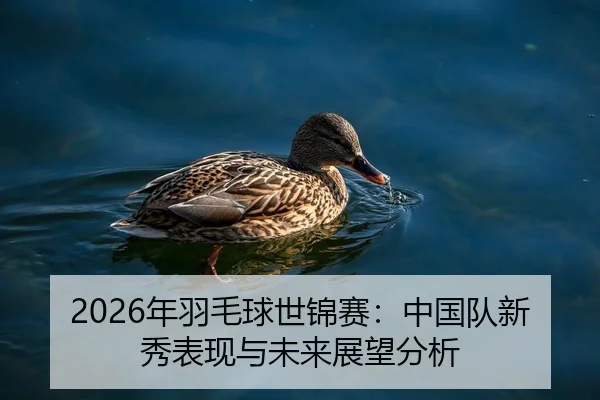 2026年羽毛球世锦赛：中国队新秀表现与未来展望分析