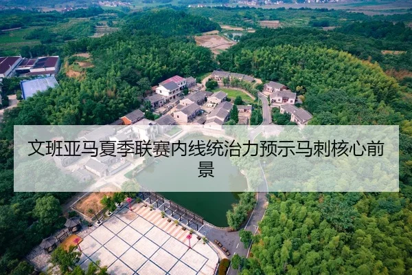 文班亚马夏季联赛内线统治力预示马刺核心前景