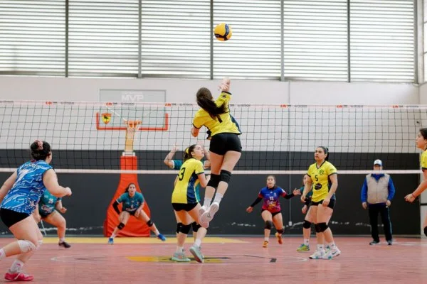 volleyball match arena